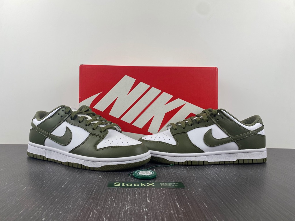 Dunk Low DD1503-120